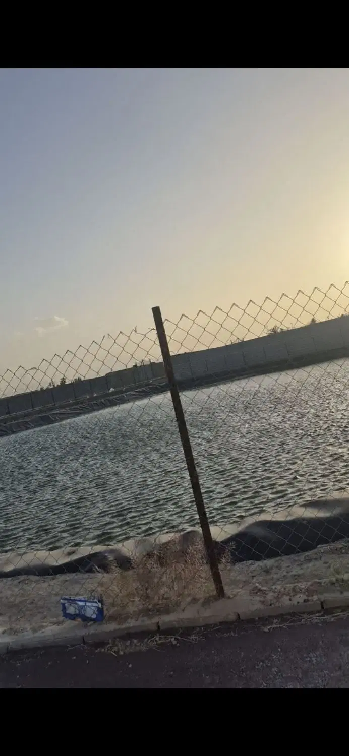 زمین باغی