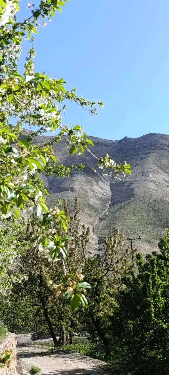 زمین زراعی دارای درختان میوه ،خوش آب و هوا