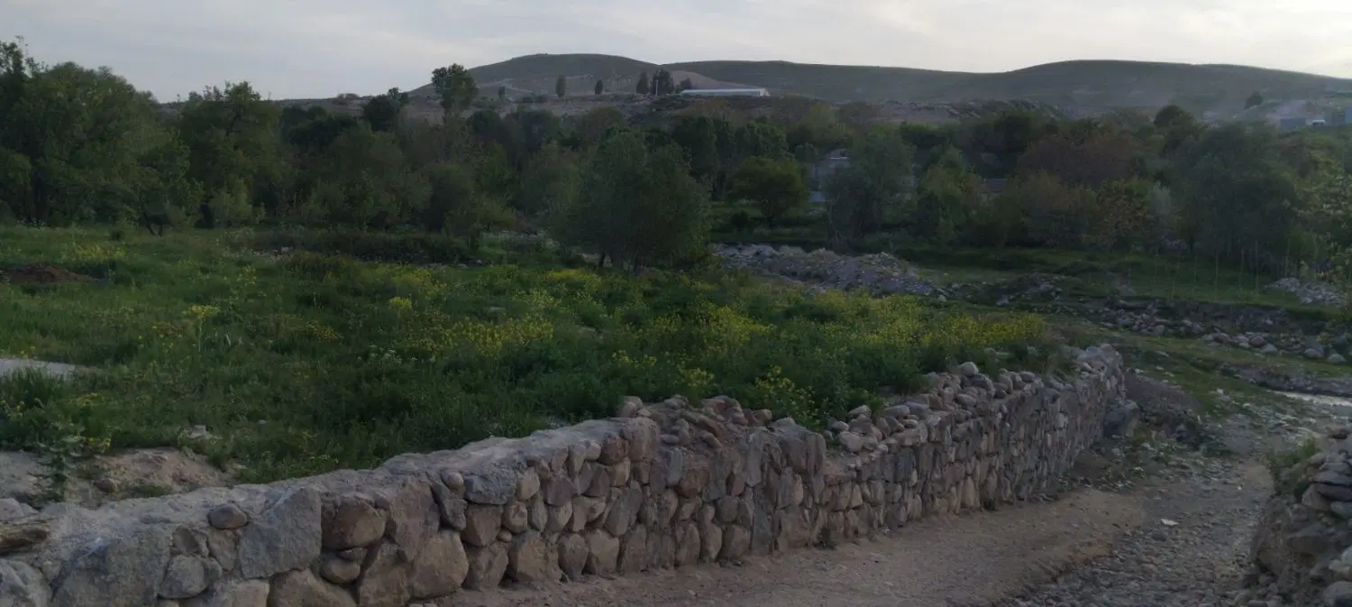 زمین ویلایی یا باغی در ایرانق (چای)