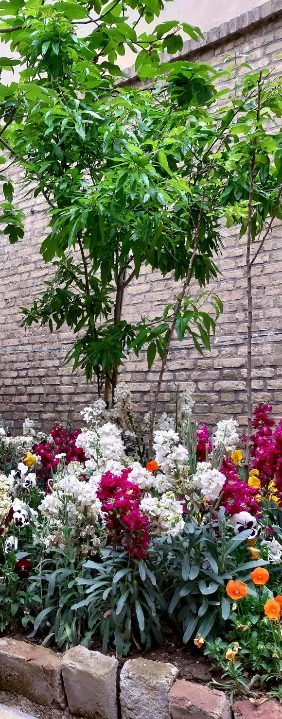 حیاط فروشی