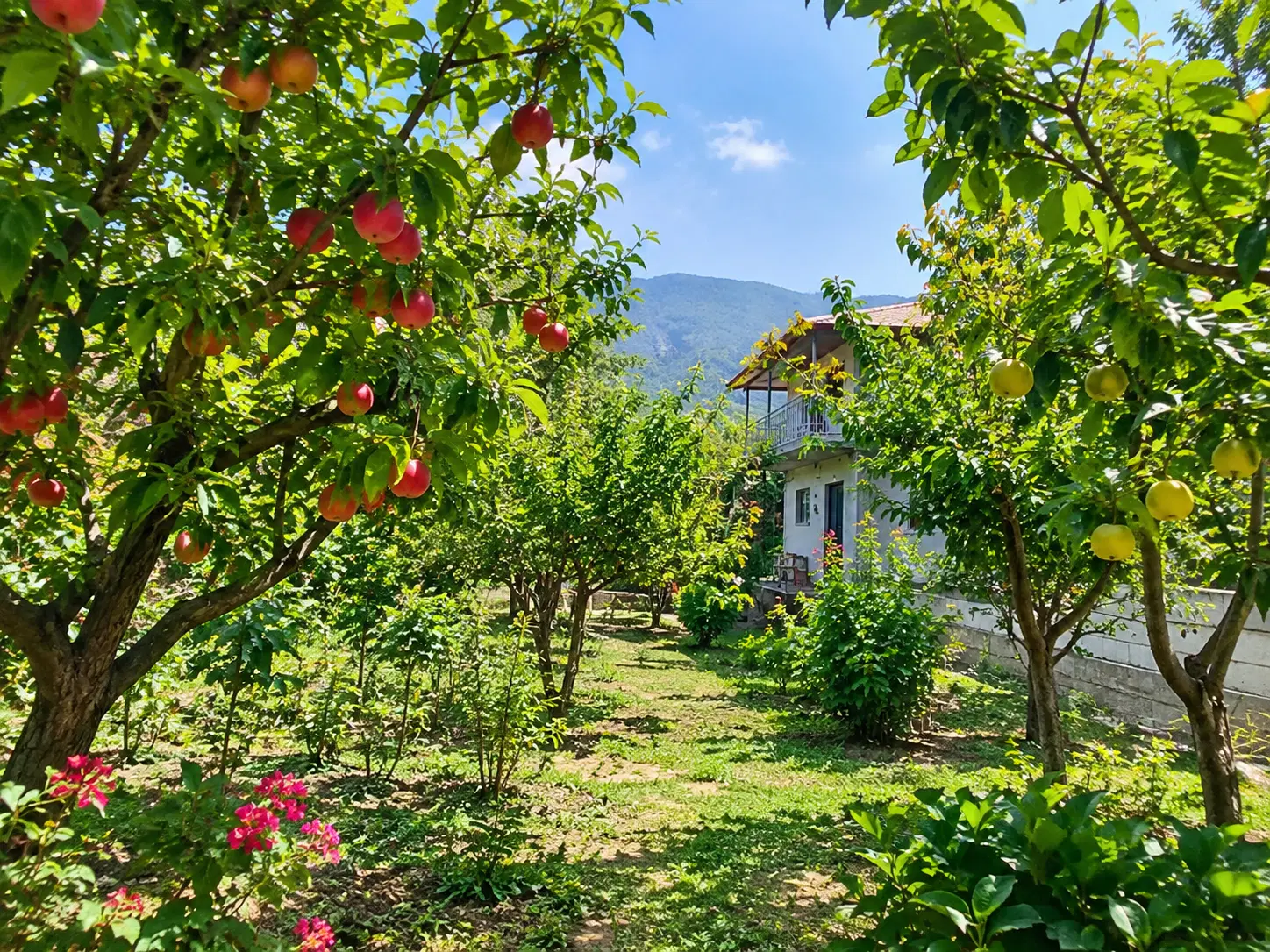 فروش باغچه‌ای دنج و آرام در نزدیکی شهر