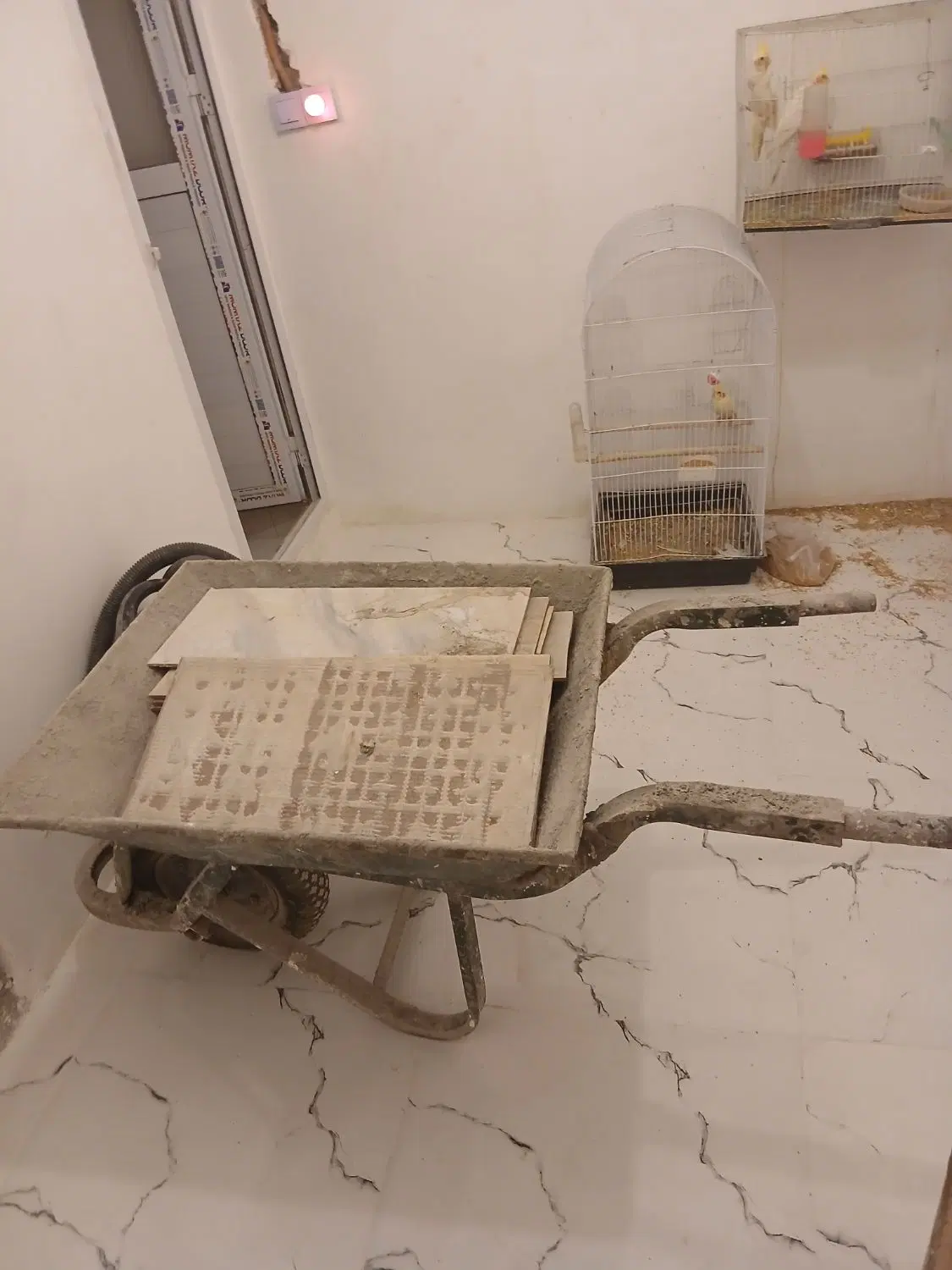 باسلام یک عدد