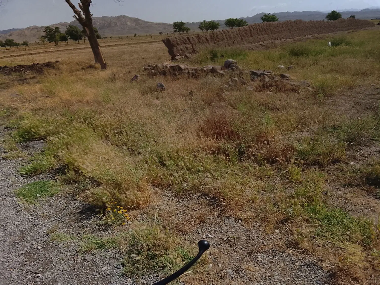 زمین فروشی