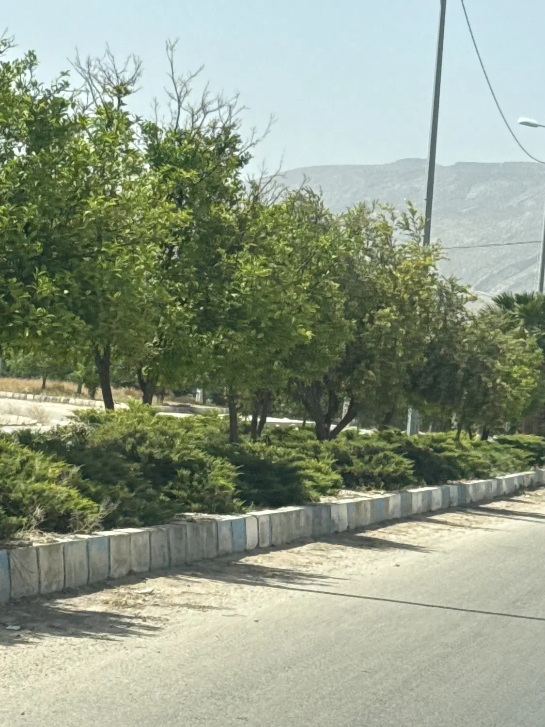 زمین درب ساختما