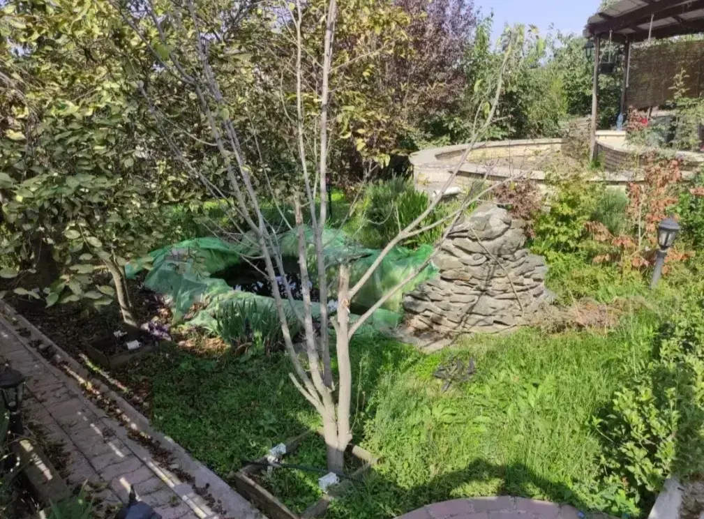 زمین مسکونی تجاری برخیابان اصلی روستای مرزنکلاته