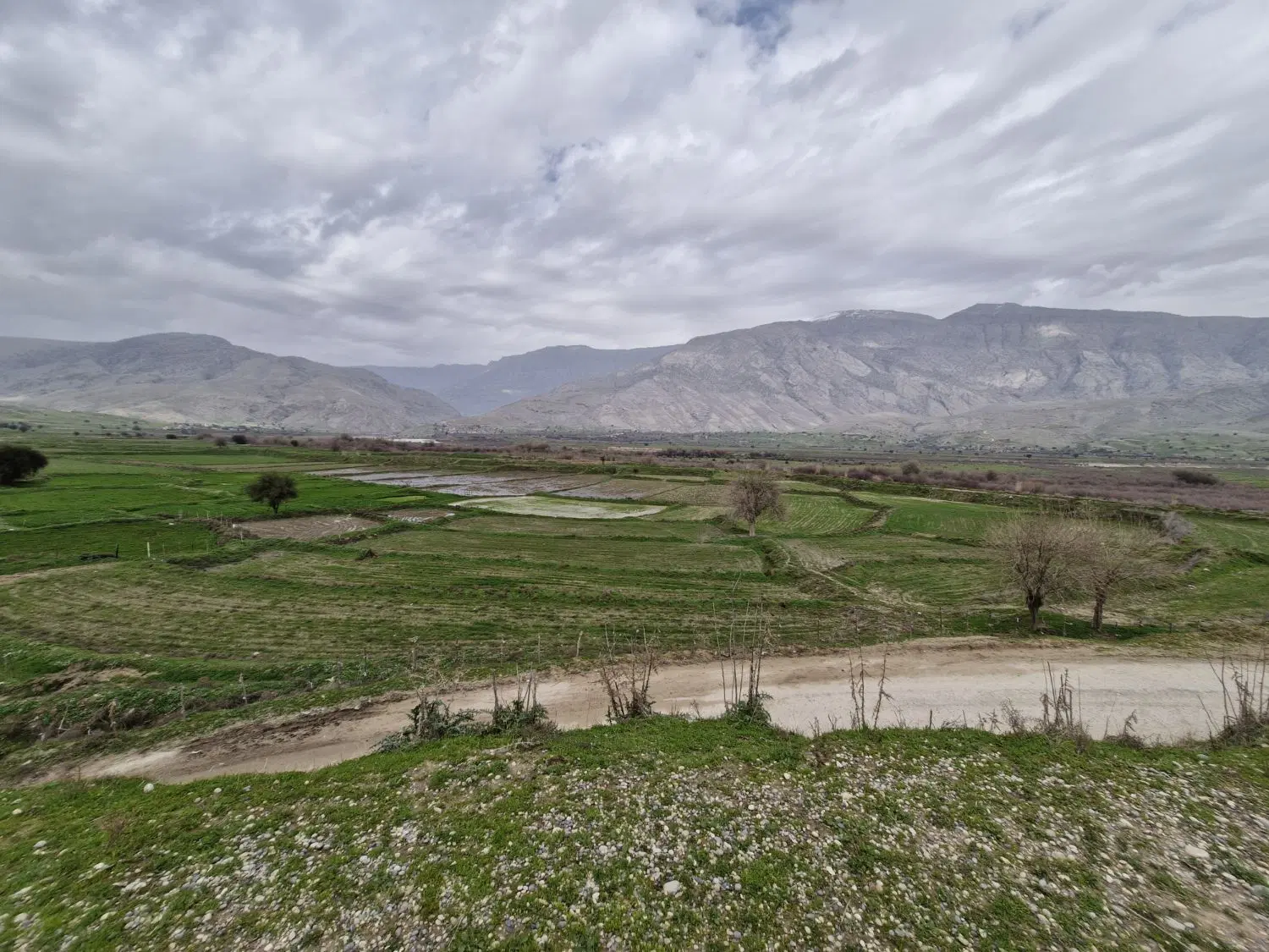 زمین چهارتنگ