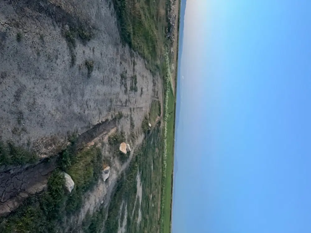 زمین زراعی و ویلایی