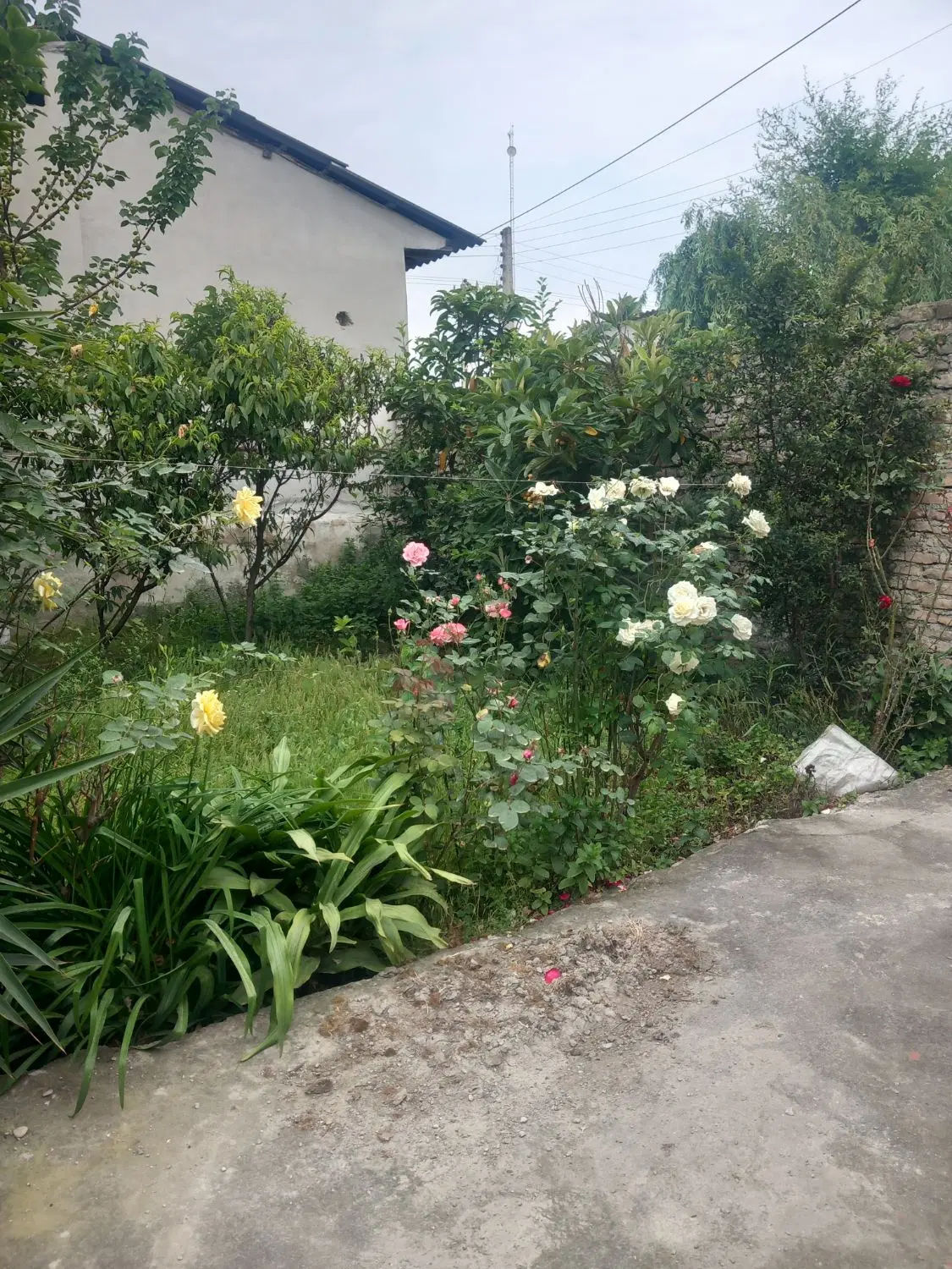 ویلا ی اجاره ای