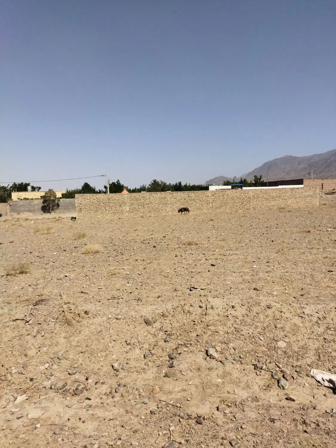 زمین مناسب باغ ، کارگاه و انبار