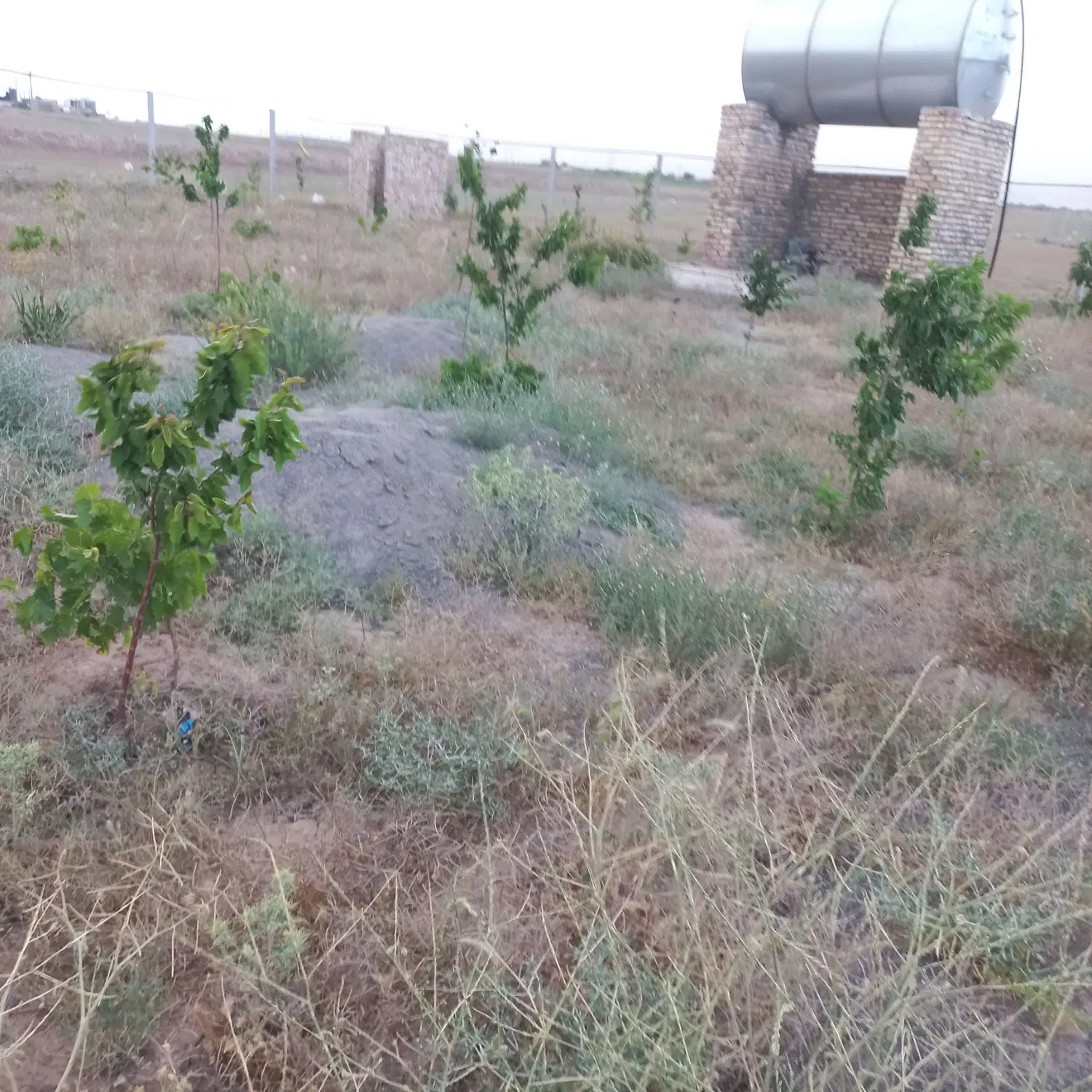 باغ فروشی اول جاده صومعه