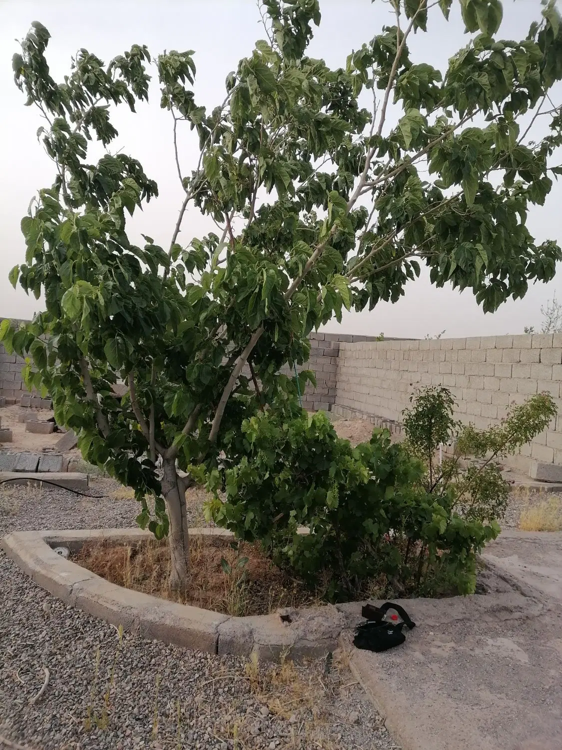 باغ حصار کشی شده ۲۸ قصب هفت باغ