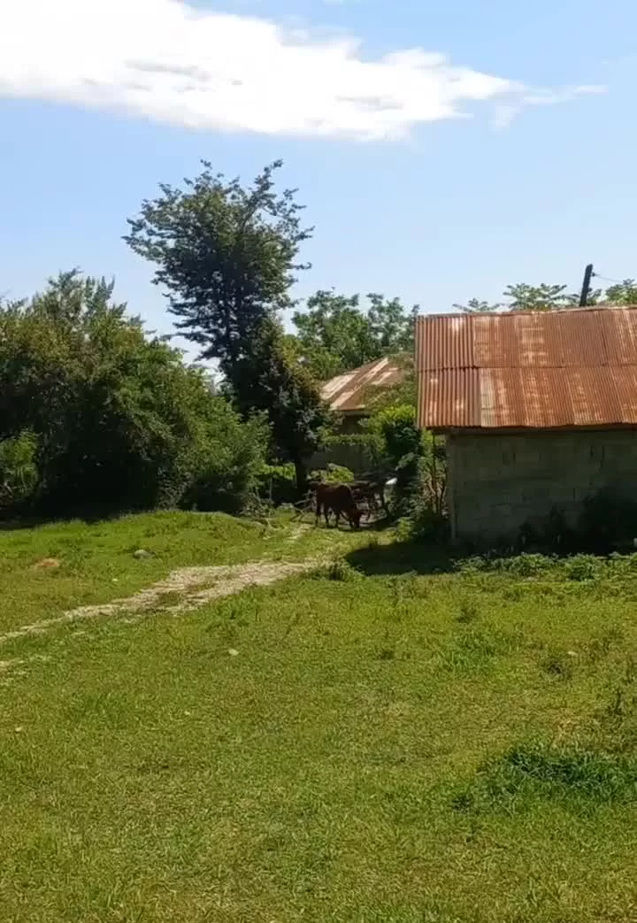 ۸۰۰۰ هزار متر زمین برای بوم گردی