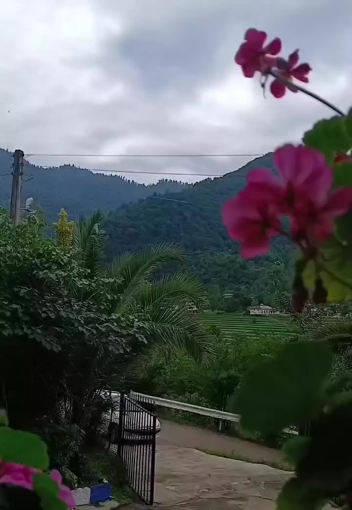 اجاره ویلا کوتاه مدت