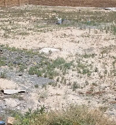 زمین چهار دیواری احمد اباد