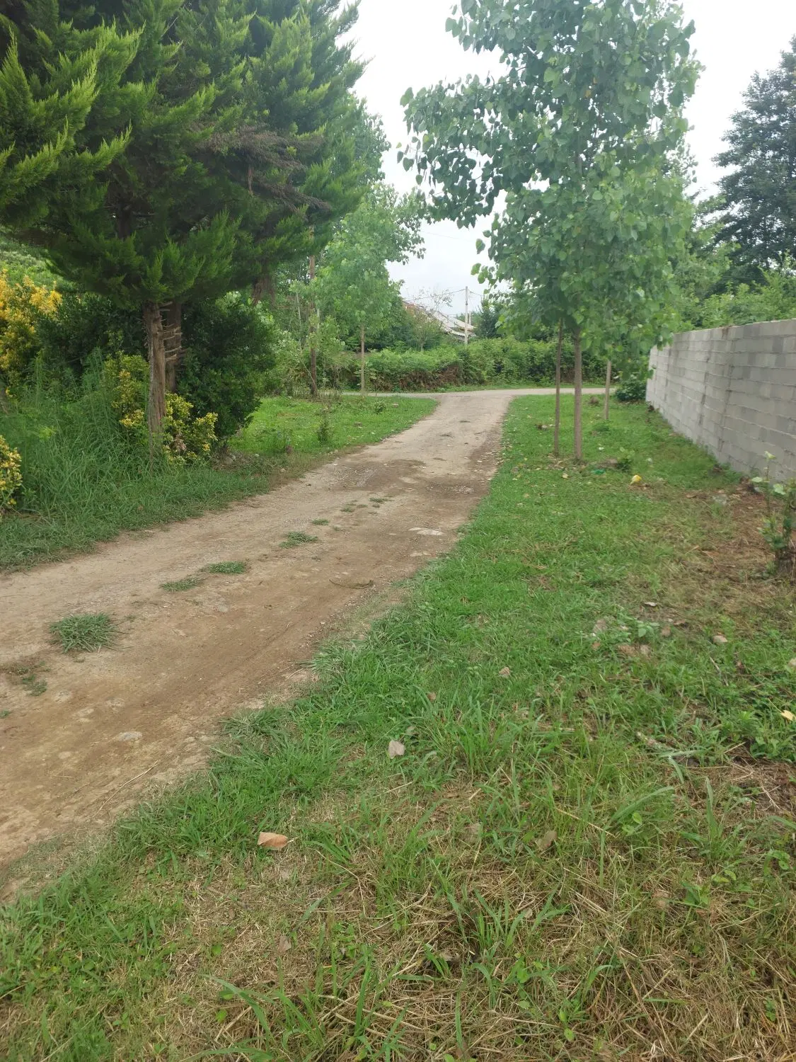 زمین مسکونی