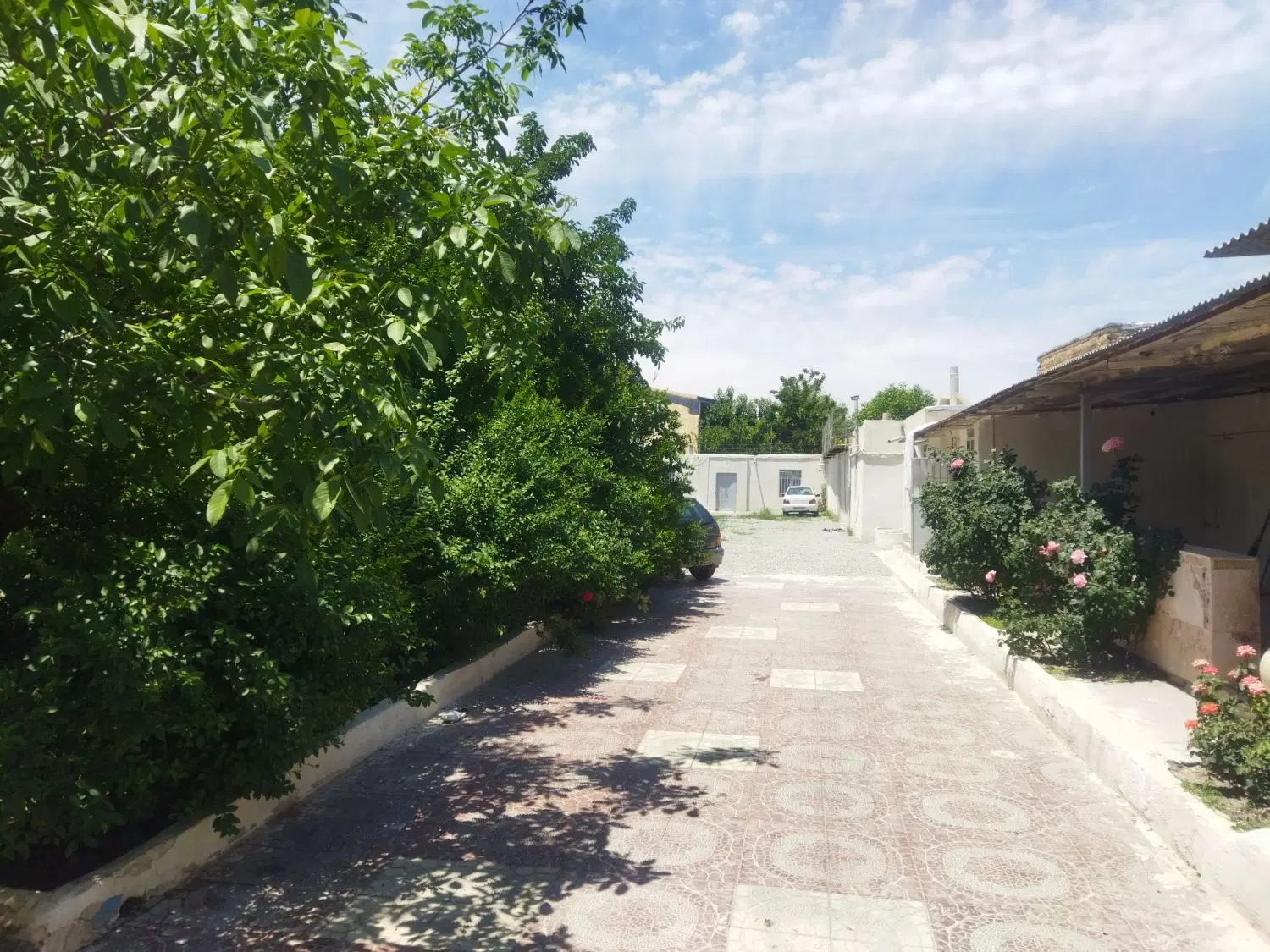 اجاره باغ ۱۲۰۰متری مناسب برای تمامی مشاغل