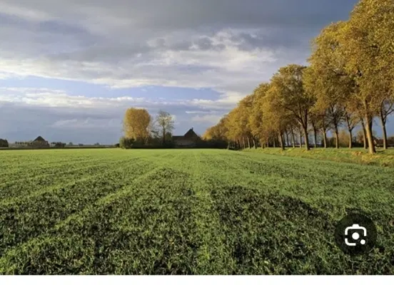 زمین برای باغ