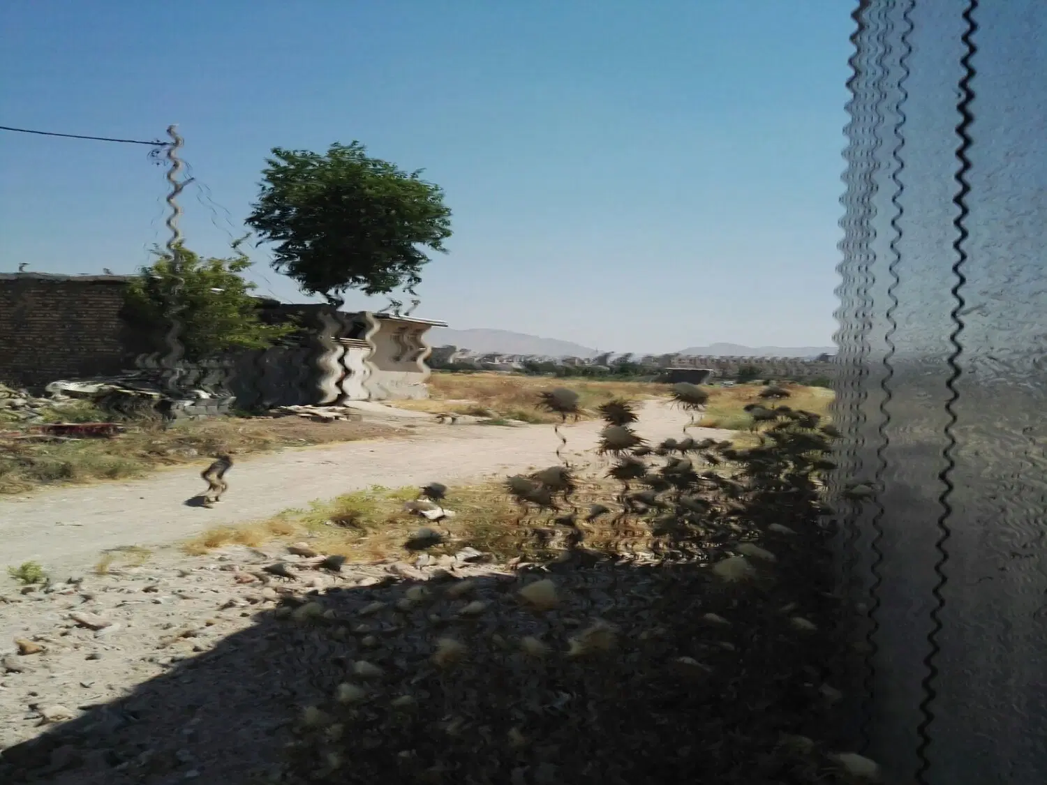 زمین مسکونی 63 متری کرناچی