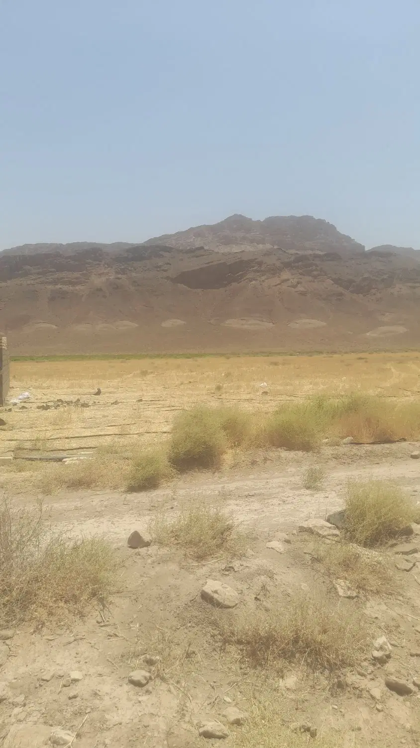 ۱۵۰۰ متر زمین باغی باسند چهار دیواری اتوبان کاشان