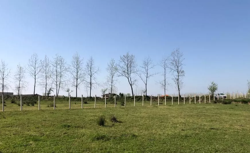 فروش زمین در دهکده ویلایی