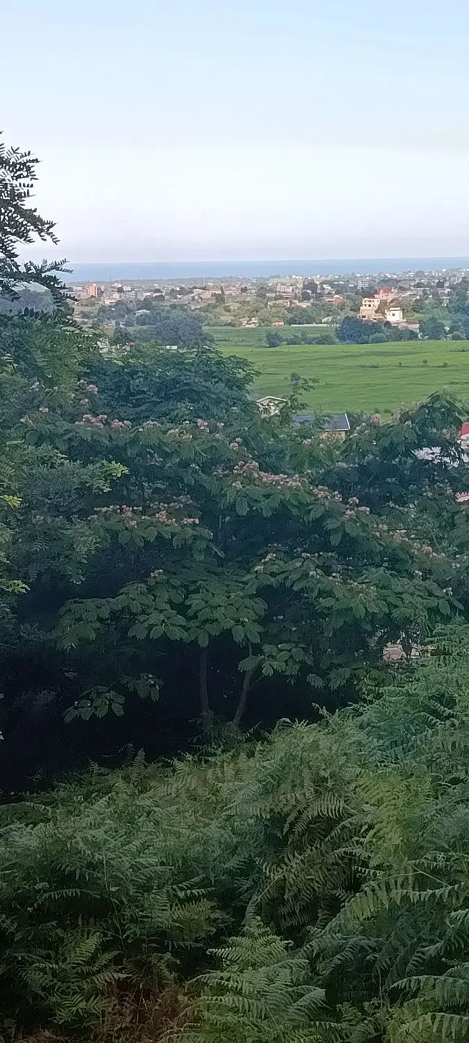 ۹۰۰ متر زمین کوهپایه ای با کاربری باغی
