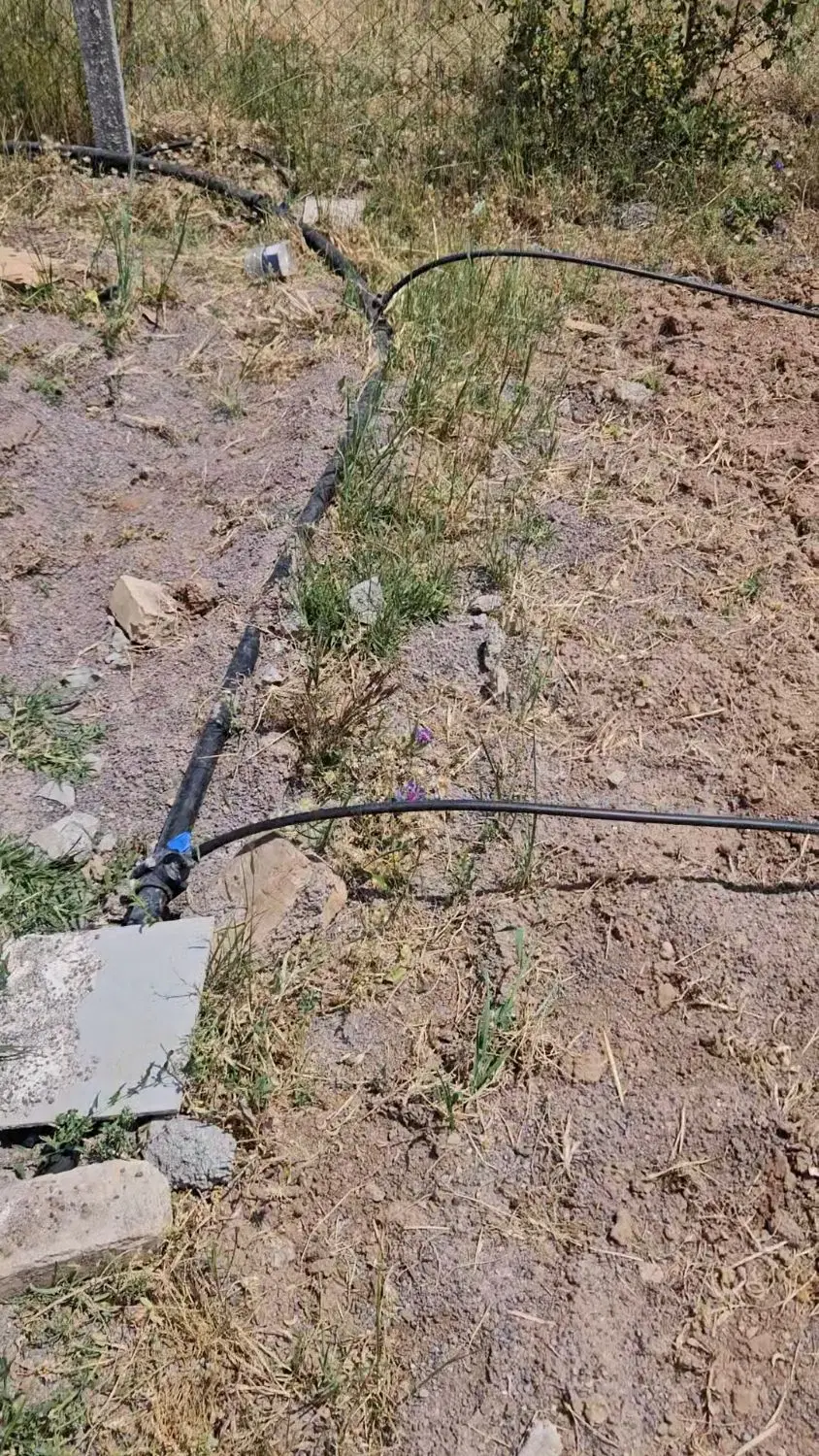 باغ۱۰۰۰متری شفیع اباد