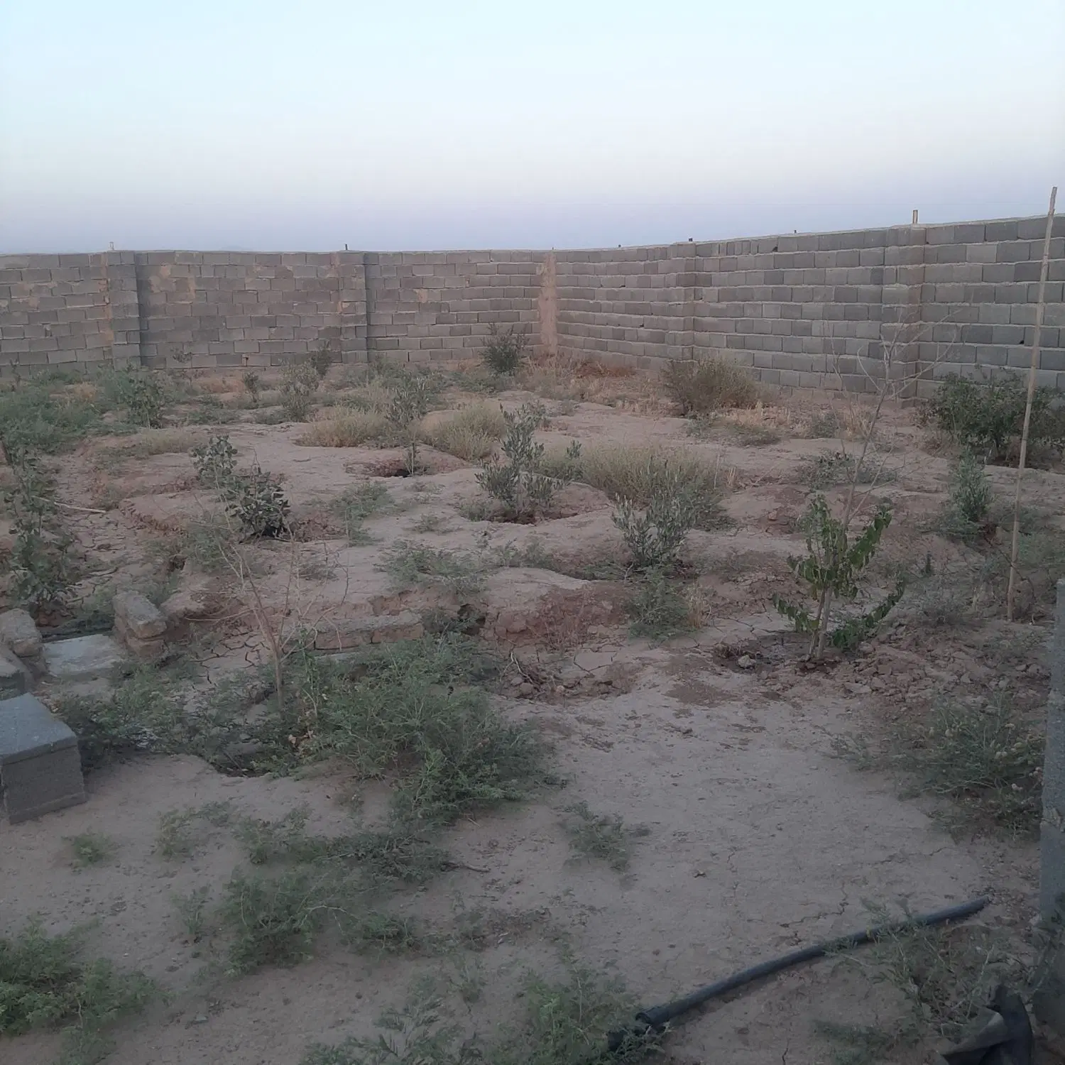 زمین