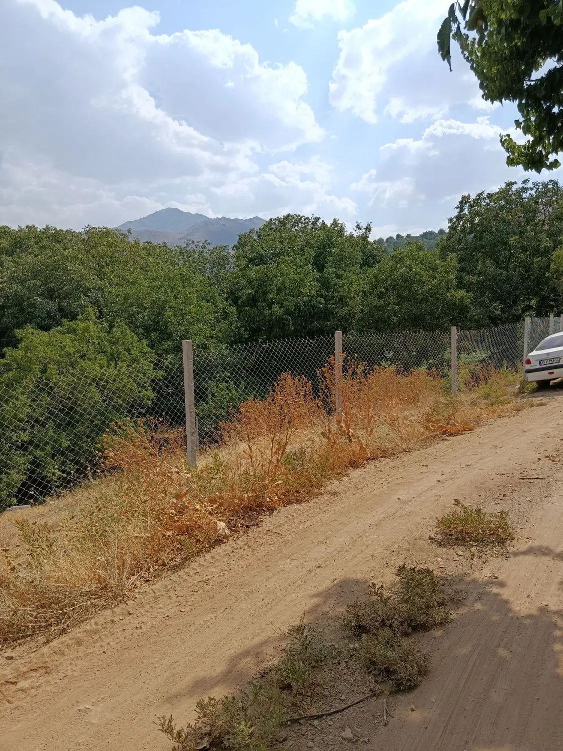 زمین باغی امامزاده کوه