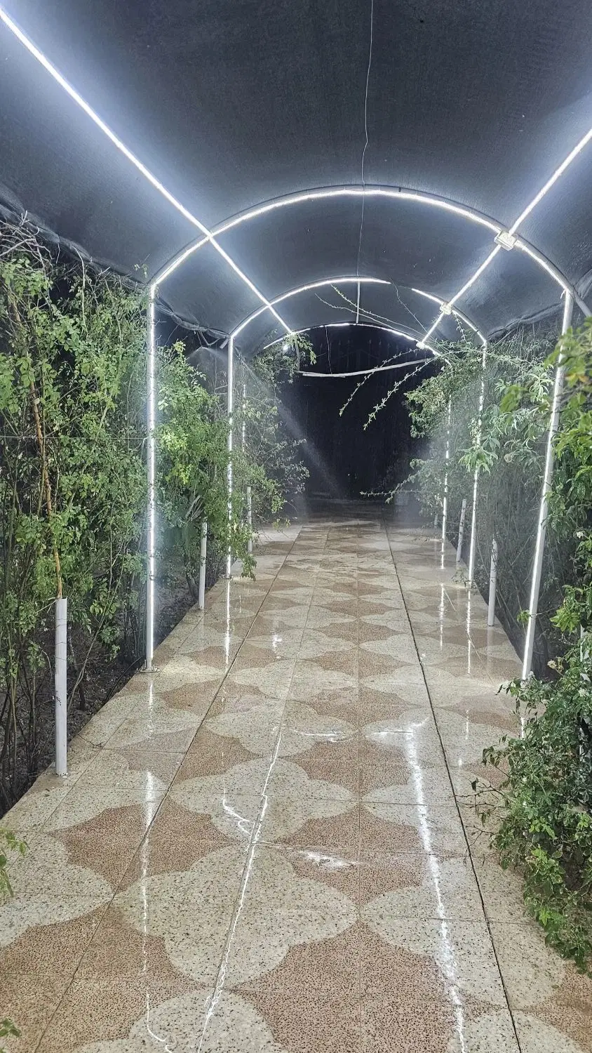 باغچه ۳۰۰ متری درچه ولاشان، خیابان حافظ
