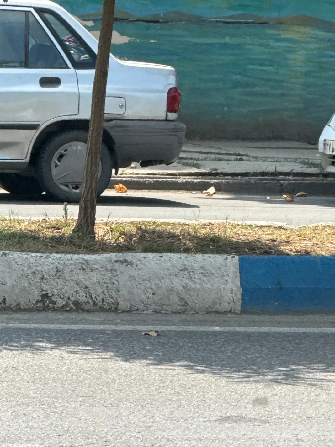 تجاری فروشی دور فلکه ترمینال
