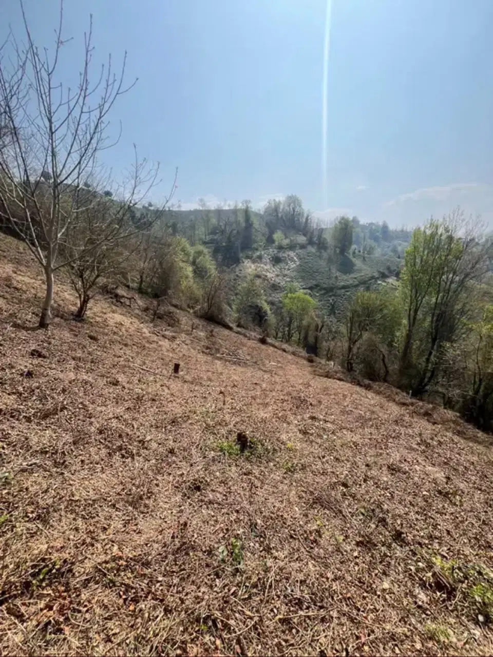زمین باغی