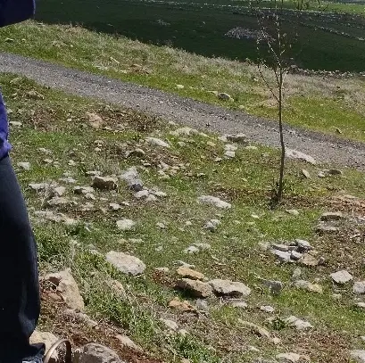 زمین مسکونی 101 متر