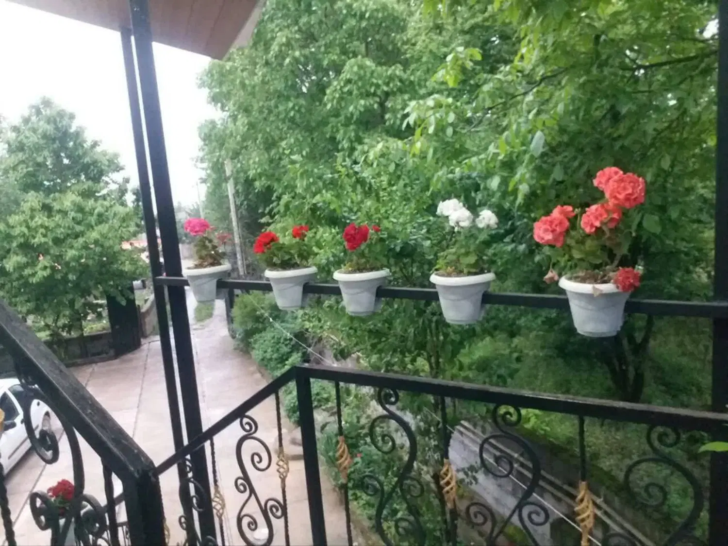 ویلا اجاره ای شبانه