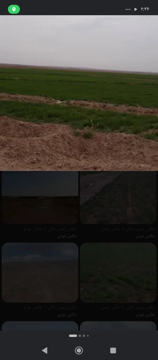 زمین کشاورزی باغ شهری
