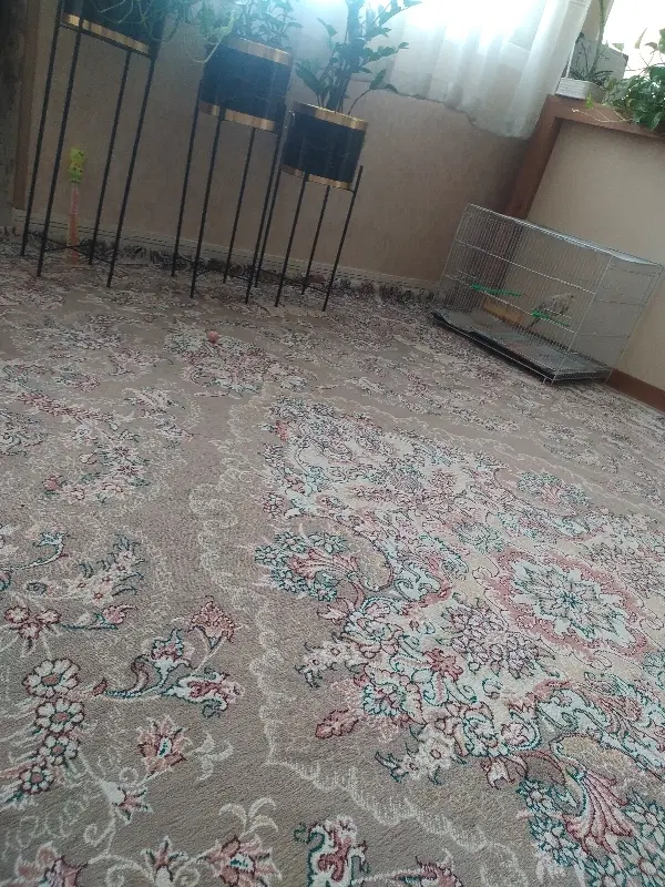 منزل ویلایی ۳ طبقه مستقل