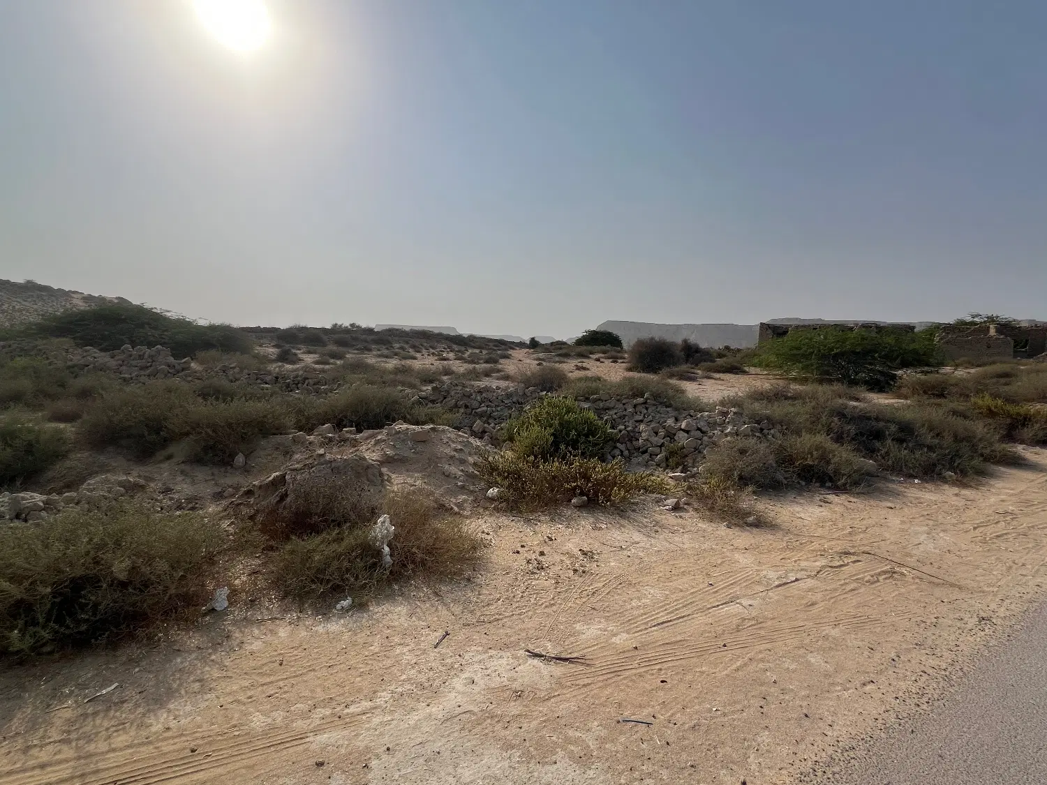 فروش زمین ۲۴۰۰ متر سوزا