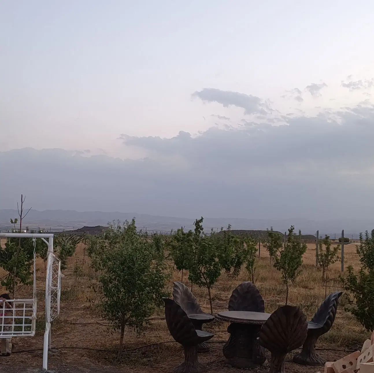 باغ در نزدیکی زنجان