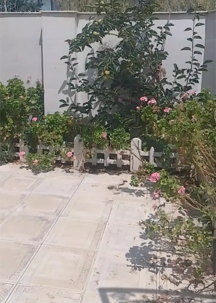 ویلا دوبلکس ۲ خواب
