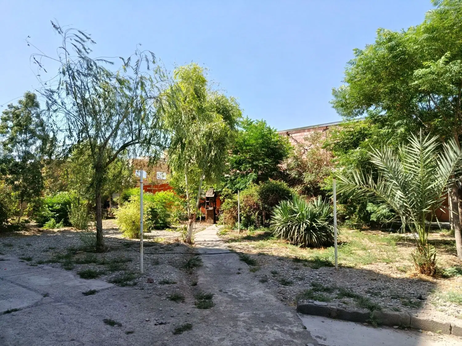 کرمان زمین خیابان شهید محمود اخلاقی