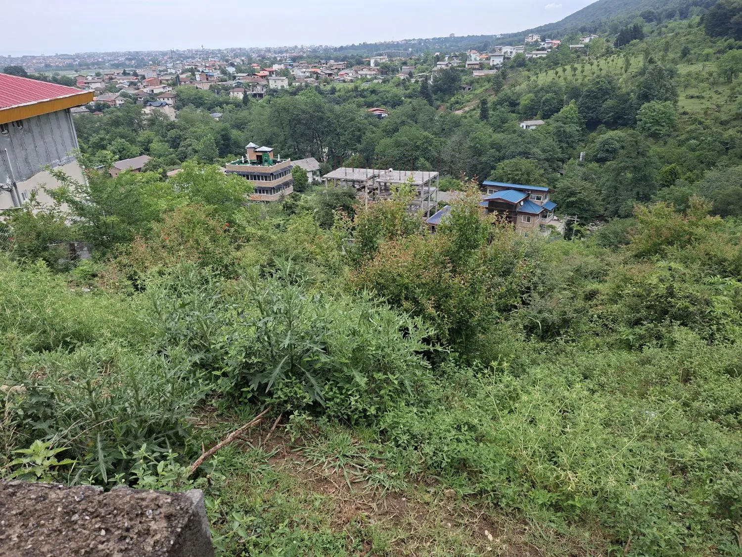 ۶۵۰متری پلاک ۱جنگل،چالوس