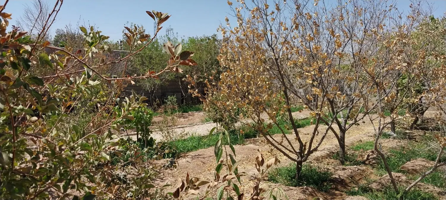 باغ و ویلا نقلی  قلعه سفید گلدشت
