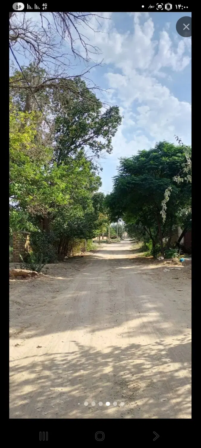خرید و سرمایه گذاری در مامونیه