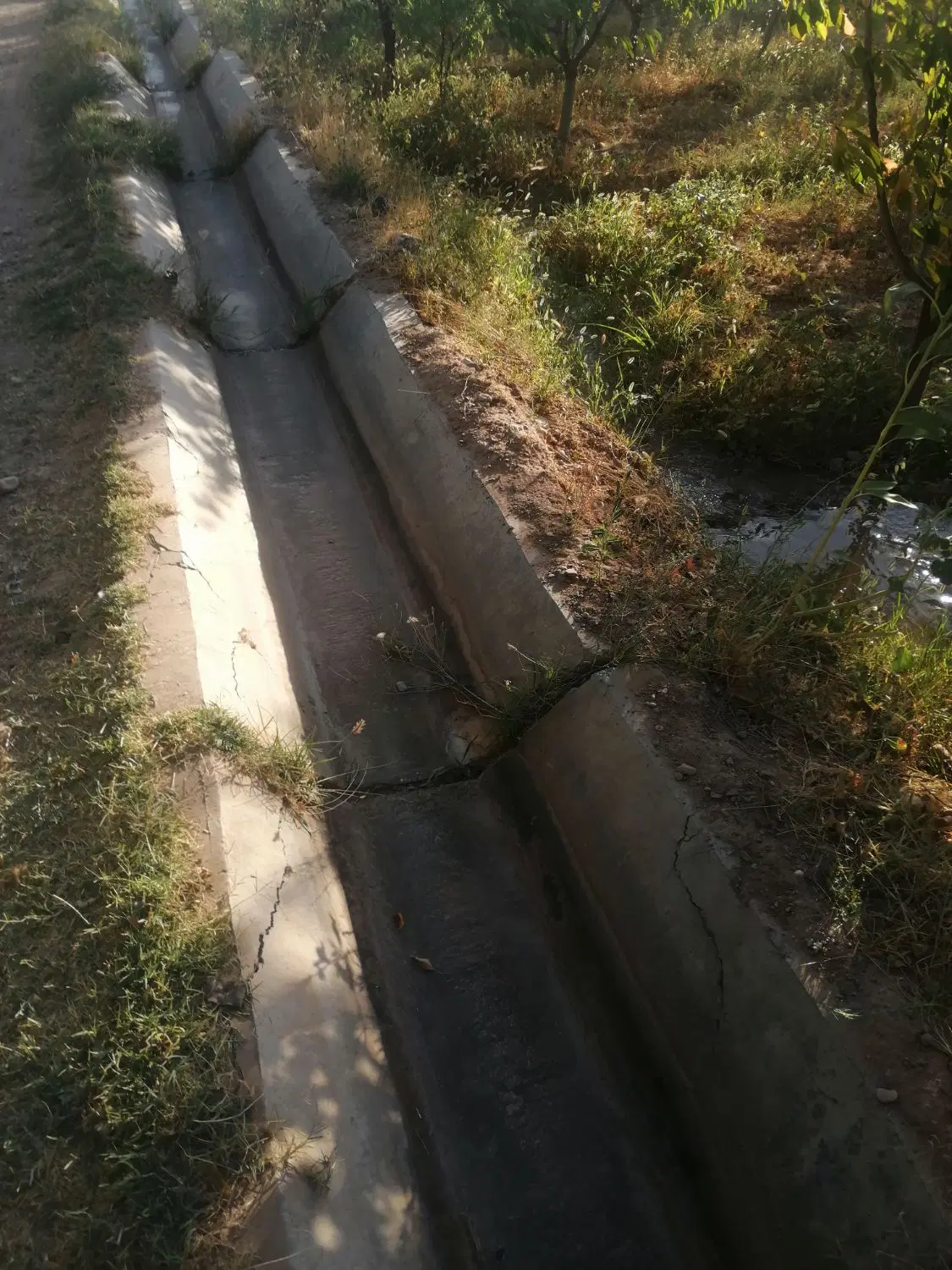 زمین فوشنجان