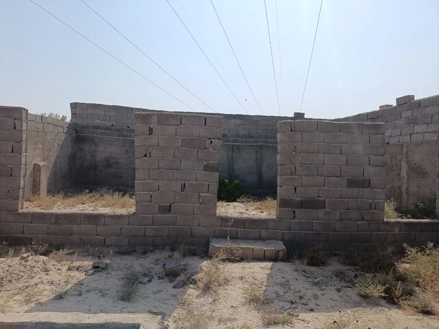 زمین چهار دیواری باغ