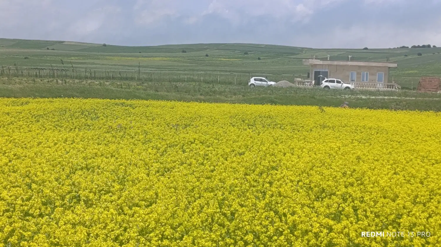 زمین کشاورزی  دگرماندرق نمین دارای آب وسند رسمی