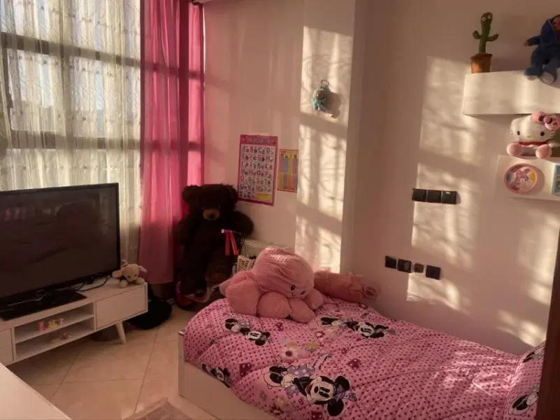 بازسازی شده ،کوچه گلستان