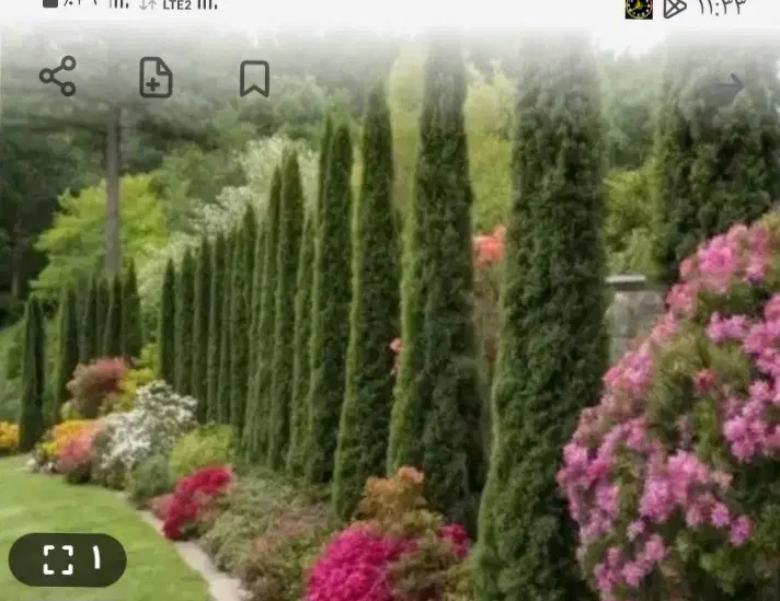 باسلام فروش یک قطعه زمین مسکونی افلاک شش