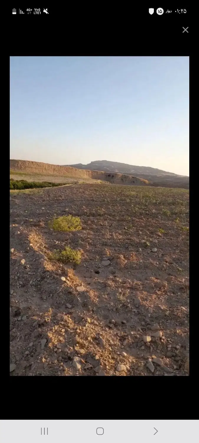 زمین