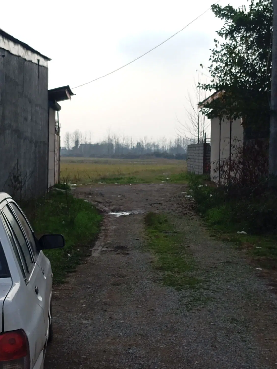 زمین ۱۵۵متری در پاچکنار