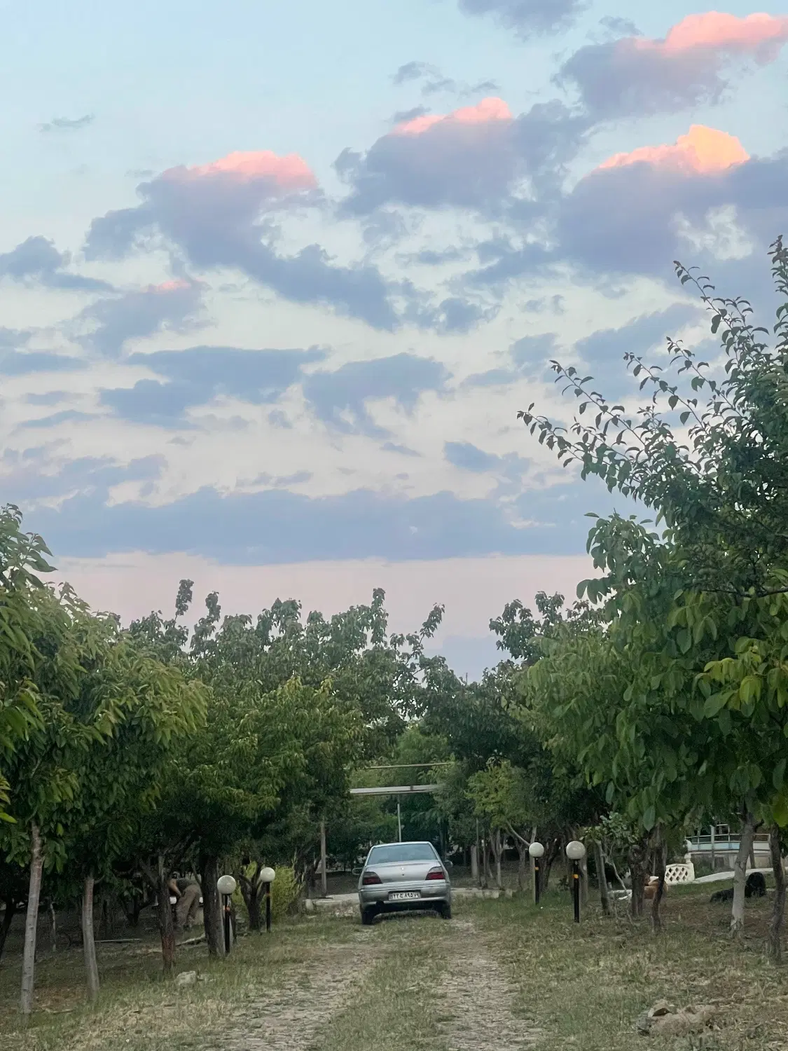 باغ در زرشک  الموت قزوین